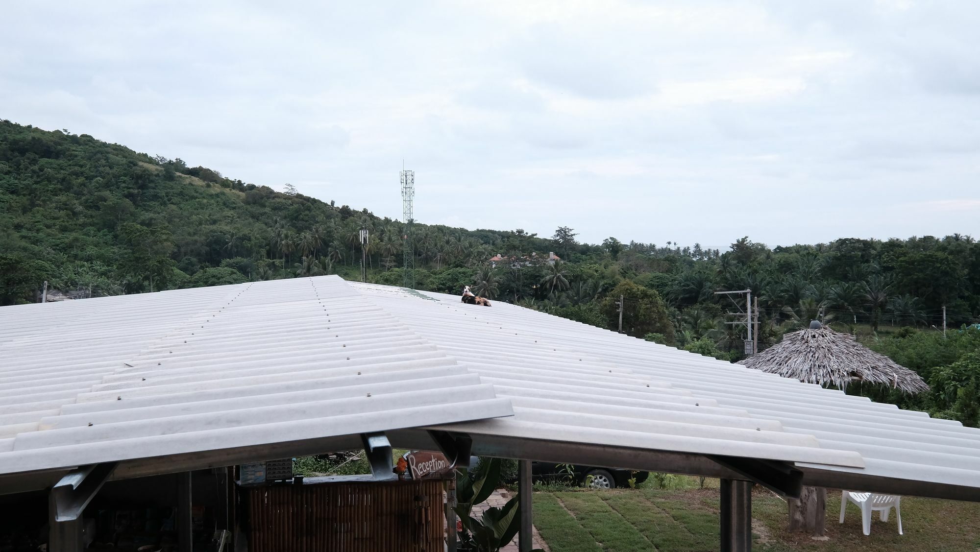 Cat Bungalow Ko Lanta المظهر الخارجي الصورة